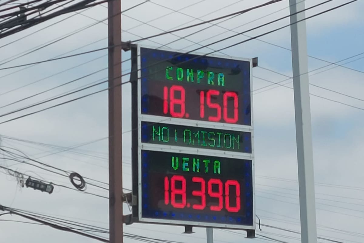 Pierde dólar valor en los mercados, dice economista