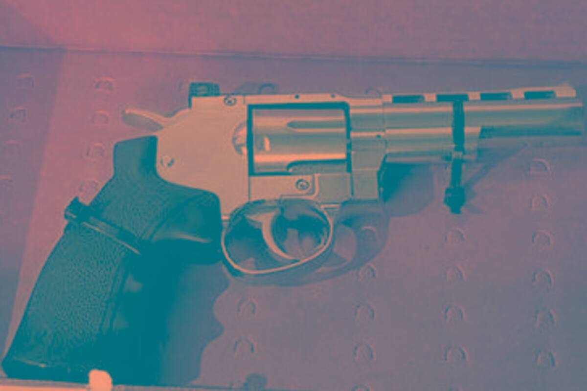 Armas ingresan desmanteladas al país: SSPE
