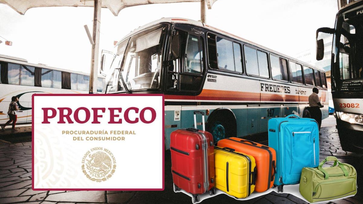 Profeco recuerda derechos de pasajeros de autobús durante vacaciones de verano 2026 y explica cuándo pueden pedir reembolso, descuentos y protección de equipaje