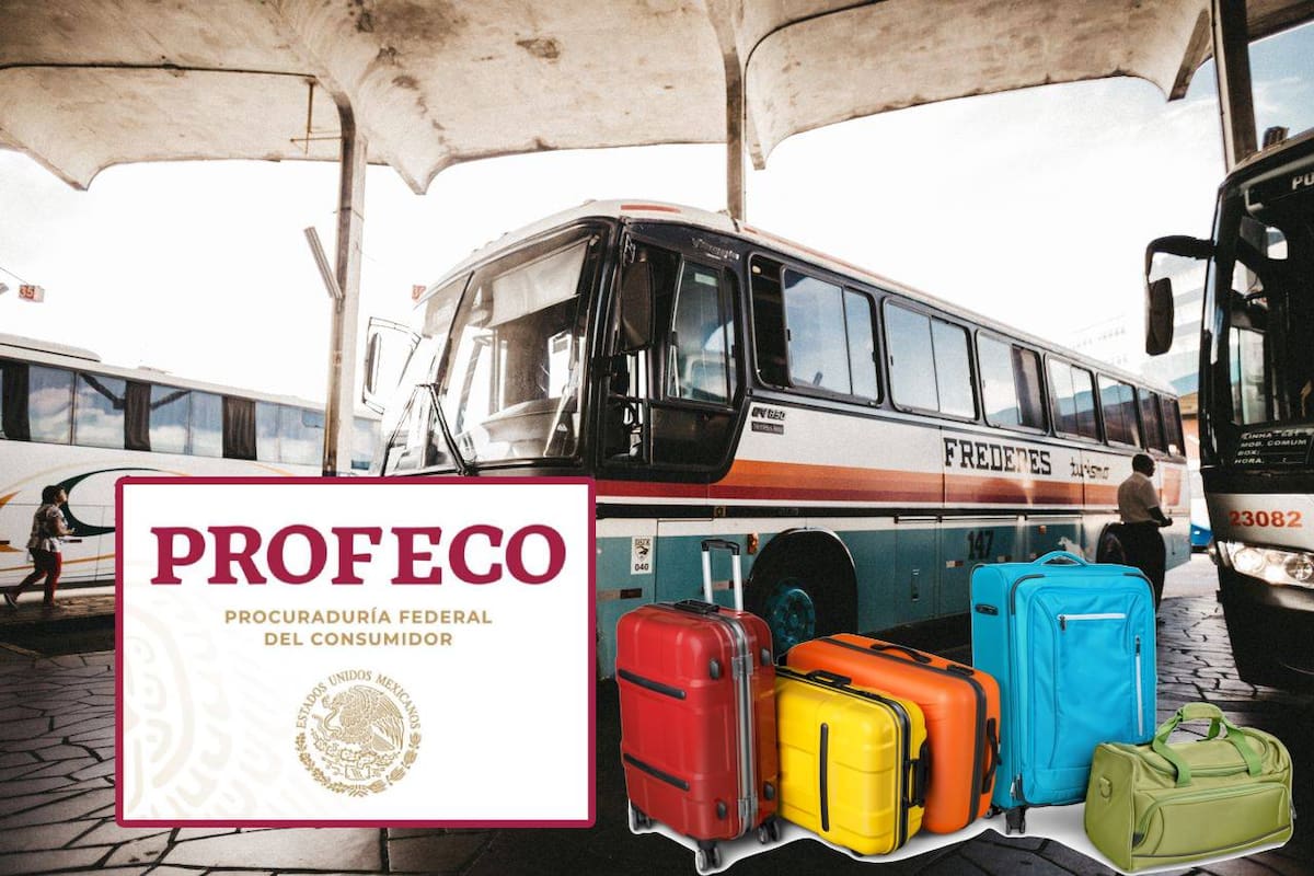 Profeco recuerda derechos de pasajeros de autobús durante vacaciones de verano 2026 y explica cuándo pueden pedir reembolso, descuentos y protección de equipaje