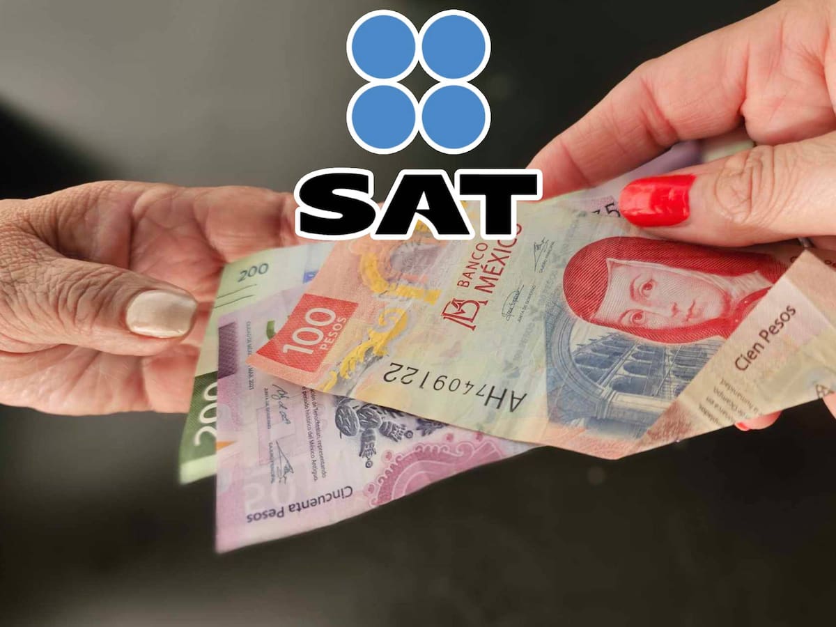 Este aviso se presenta electrónicamente mediante la Declaración Mensual de Depósitos en Efectivo, y el plazo máximo para hacerlo es el día 10 del mes siguiente.