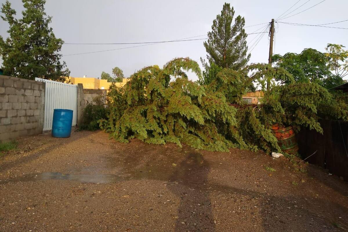 Declaran emergencia por lluvias en Apson