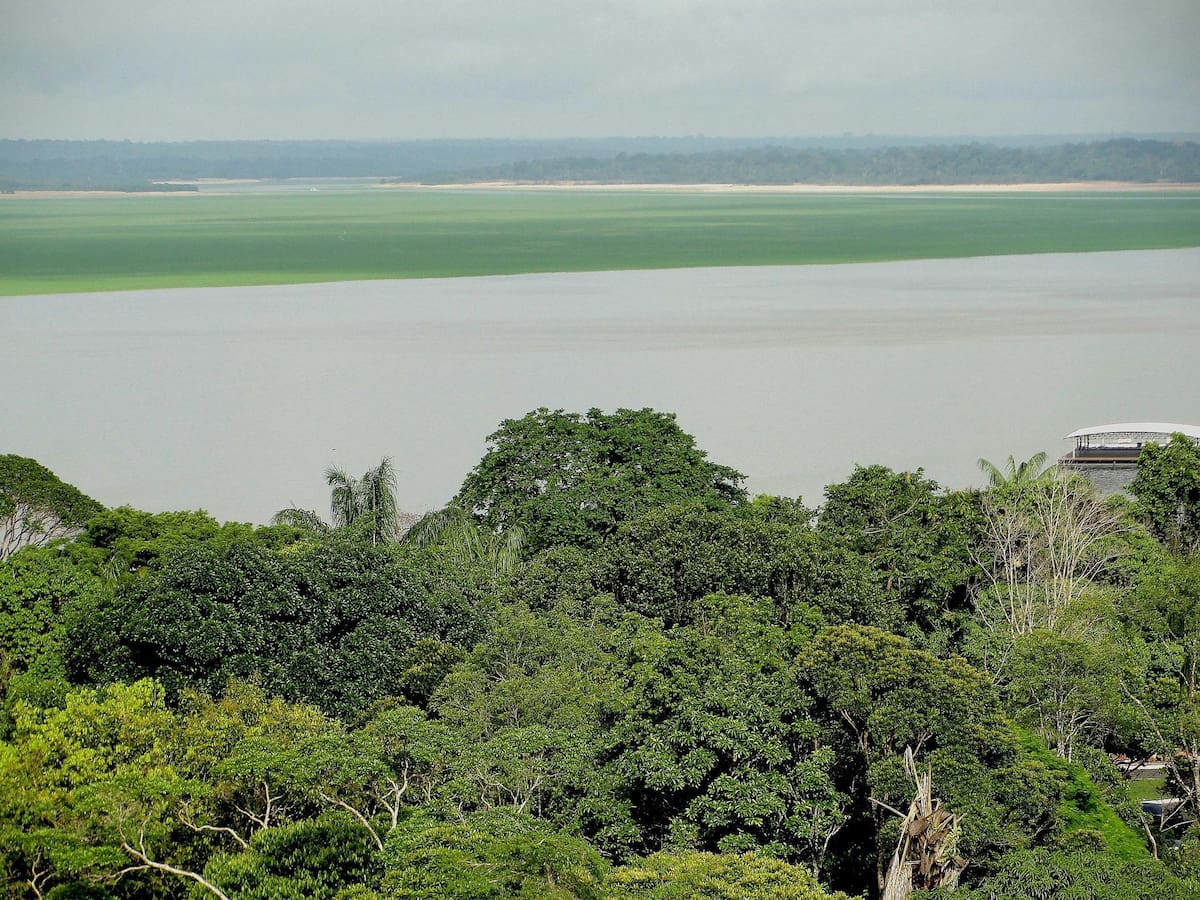 Fotografía de archivo que muestra una panorámica de selva y río desde Manaos, Amazonas (Brasil). EFE/ Marianna Wachelke /ARCHIVO