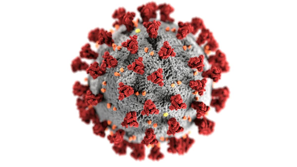 Covid-19 fue una enfermedad emergente generada por zoonosis, comenta la especialista Elizabet Damaris Flores Vivaldo. (Ilustrativa/Pexels)