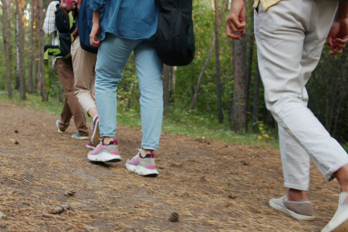 El snack que especialistas aconsejan comer tras una caminata larga para ayudar a reponer nutrientes sin elegir alimentos ultraprocesados