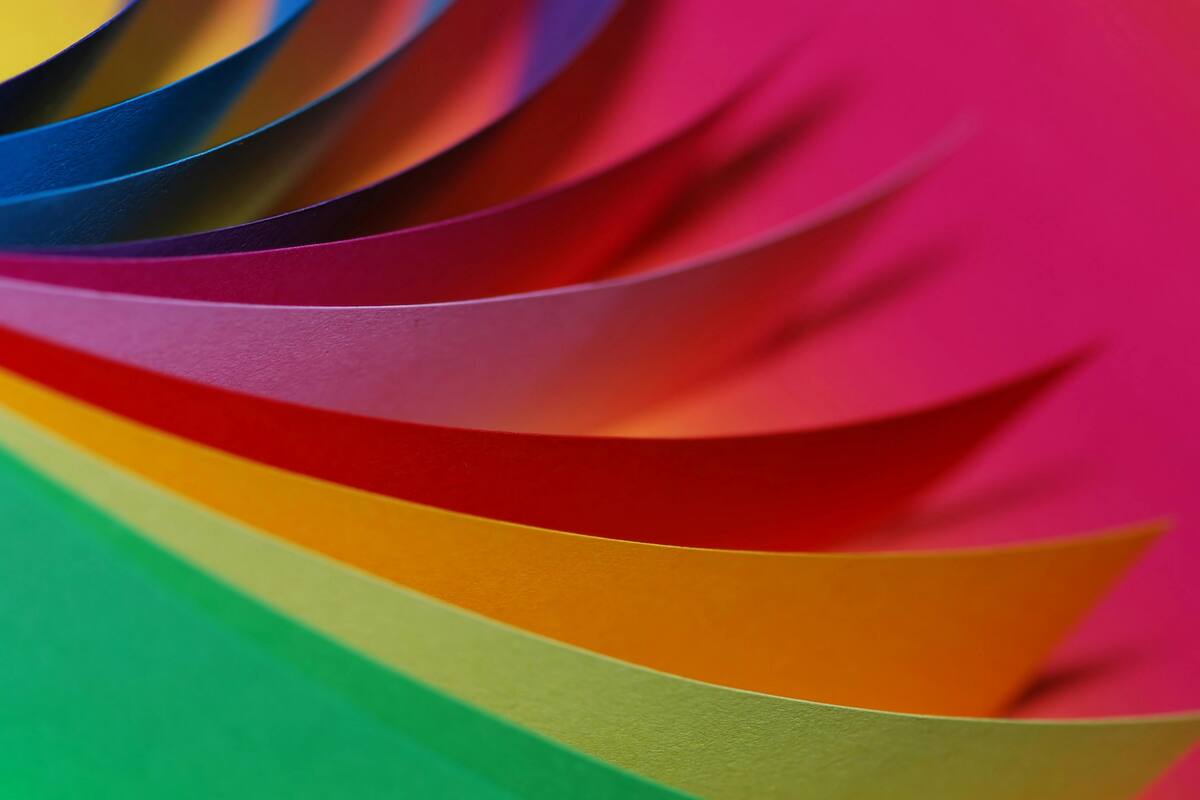 Colores Invisibles: ¿Cuáles son los colores que los humanos no pueden ver?