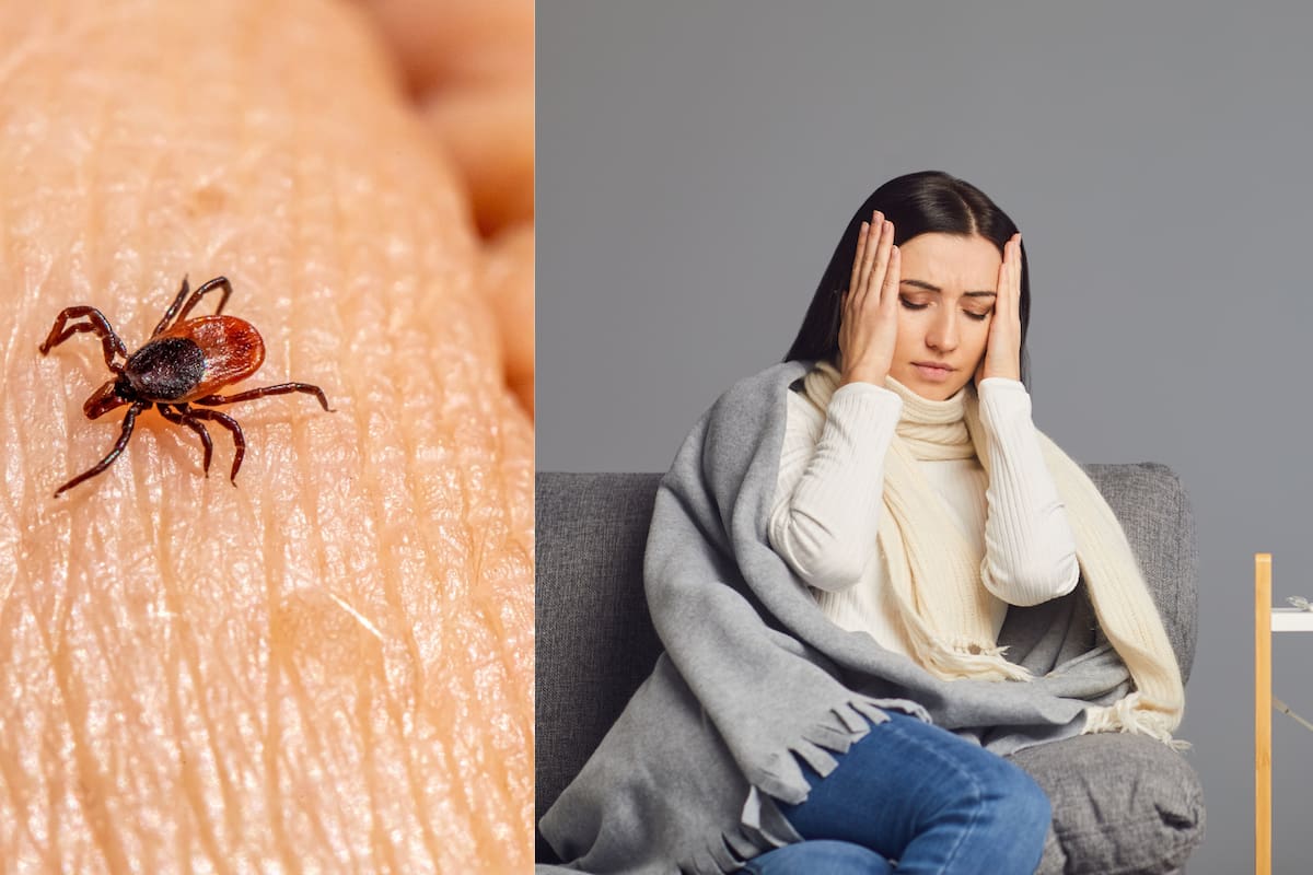 ¿Qué es la enfermedad de Lyme? Un riesgo creciente con síntomas poco conocidos
