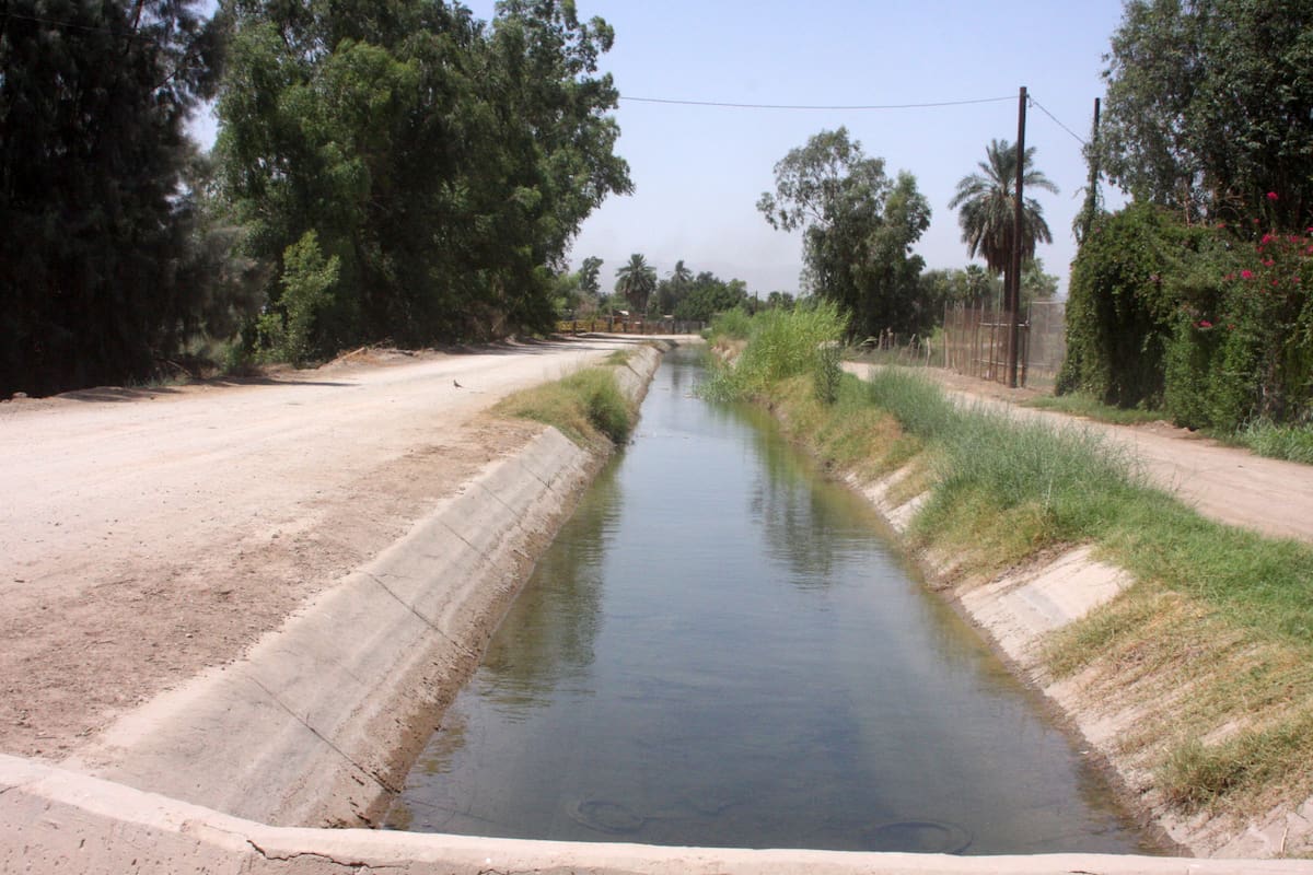 Advierten peligro de contraer amiba libre por nadar en canales