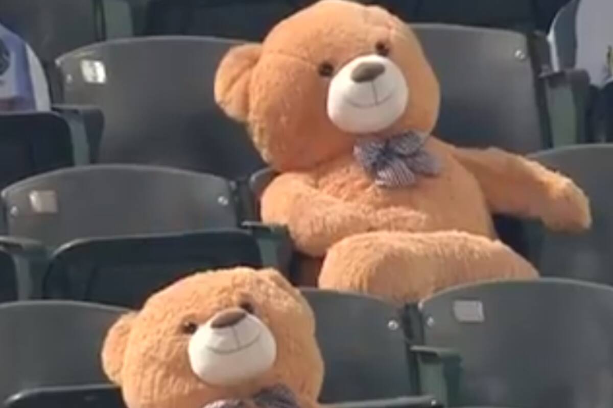 El momento en que ‘fanático’ de peluche es alcanzado por un batazo de foul en el Atléticos-Dbacks