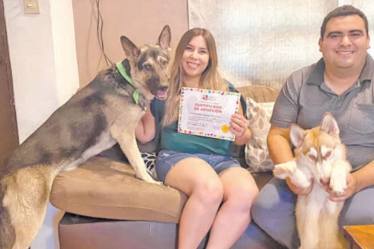 El 66% de los hogares bajacalifornianos cuentan con una mascota