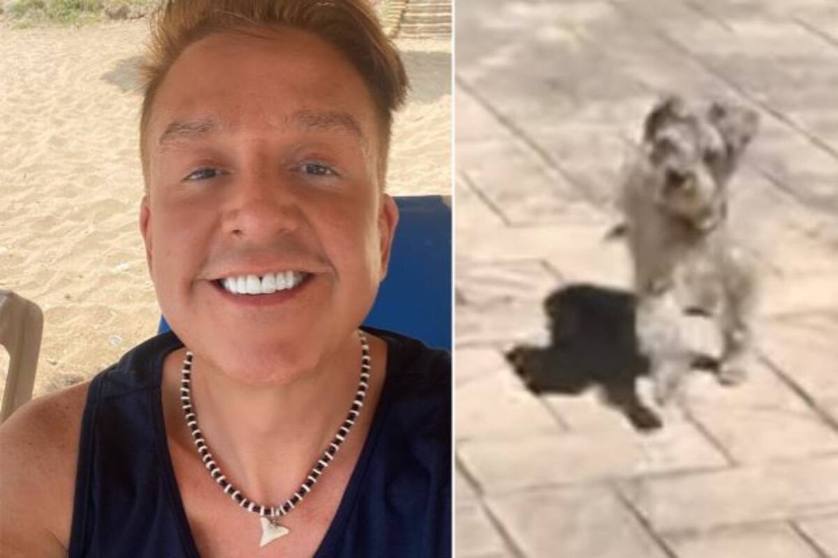 “Es una cosa horrorosa… un pedazo de estopa cochina”: Daniel Bisogno critica a perrito rescatado por Alfredo Adame