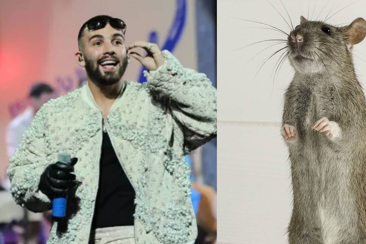 Manuel Turizo eclipsado por un ratón en su show de Viña del Mar