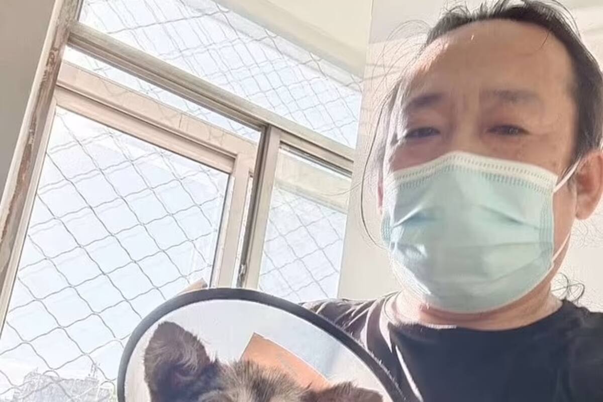 China: Rescatan a 400 perros de un camión que se dirigía al Festival de Yulin