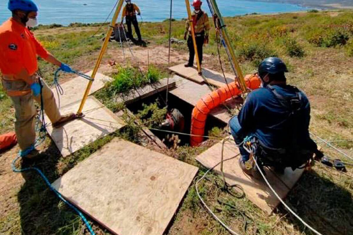 Surfistas asesinados tenían tiro en la cabeza