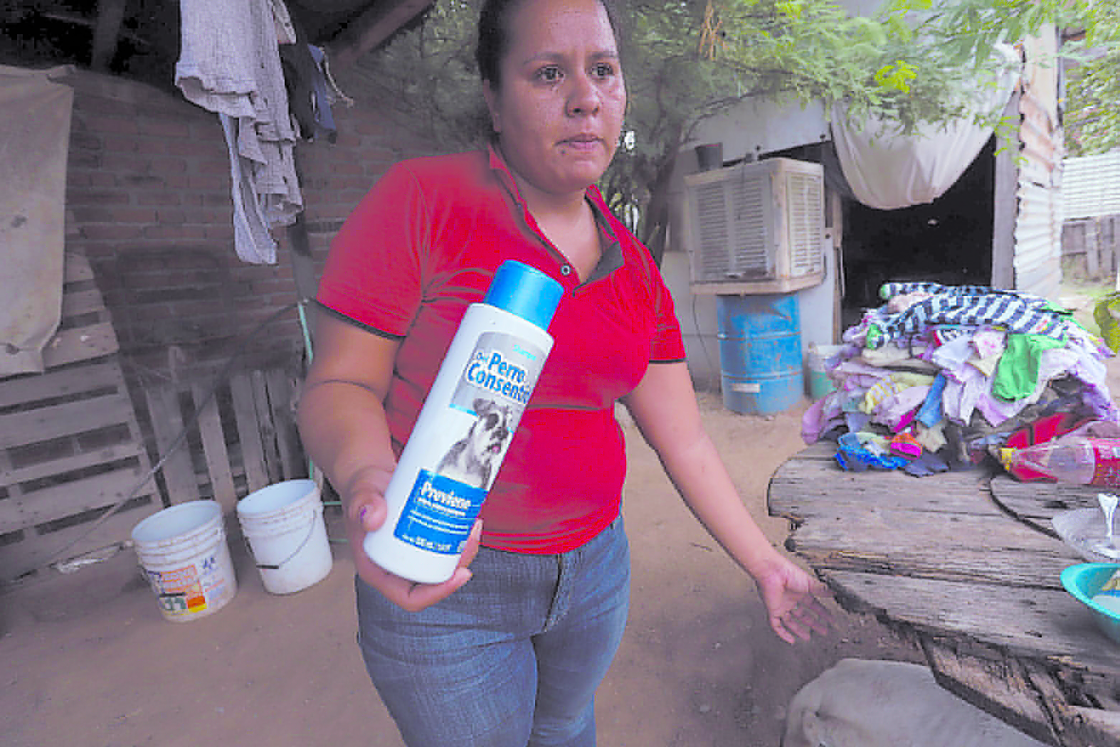 Reyna Tovares muestra algunos productos que utiliza para tratar de erradicar la plaga.