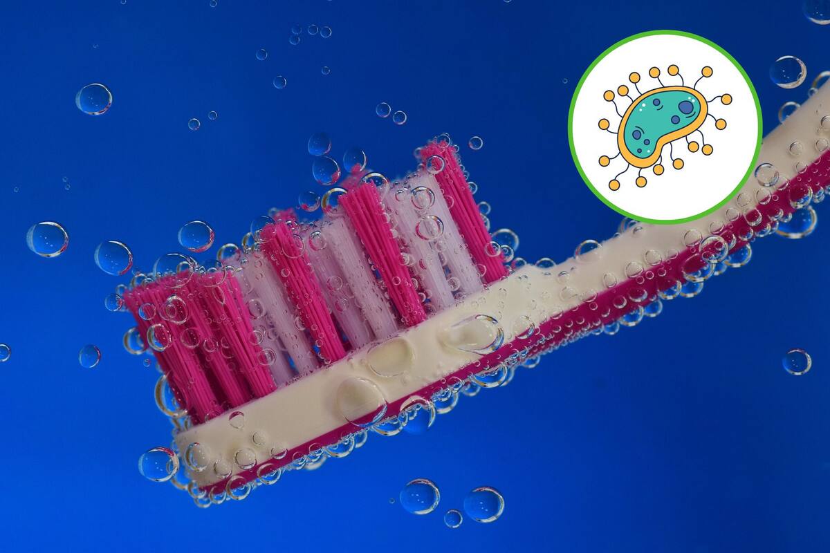 ¿Tu cepillo de dientes tiene bacterias fecales? Evita la contaminación en el baño