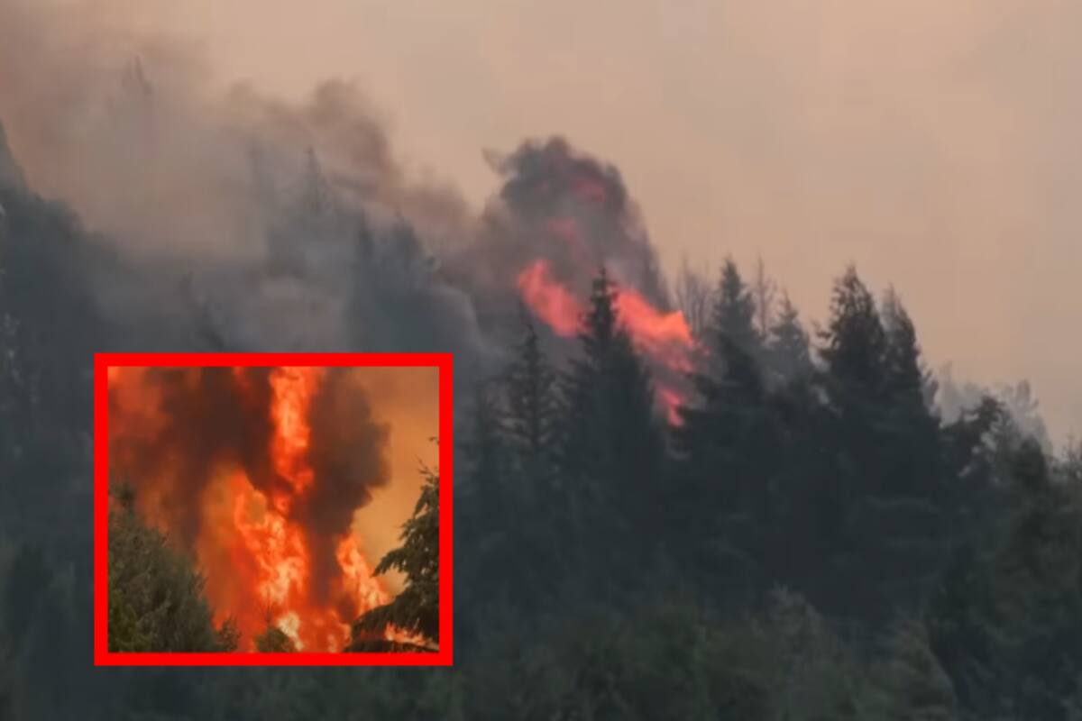 Incendios en la Patagonia argentina cruzan a Chile y amenazan nuevas regiones