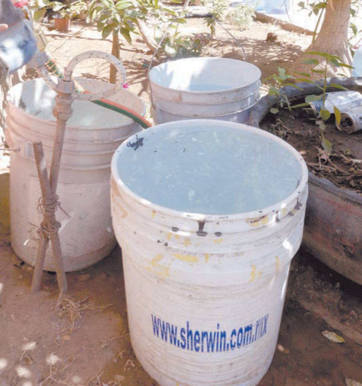 Vecinos tratan de llenar recipientes con agua, ya que la falta del servicio es el pan de todos los días. FOTO: TEODORO BORBÓN