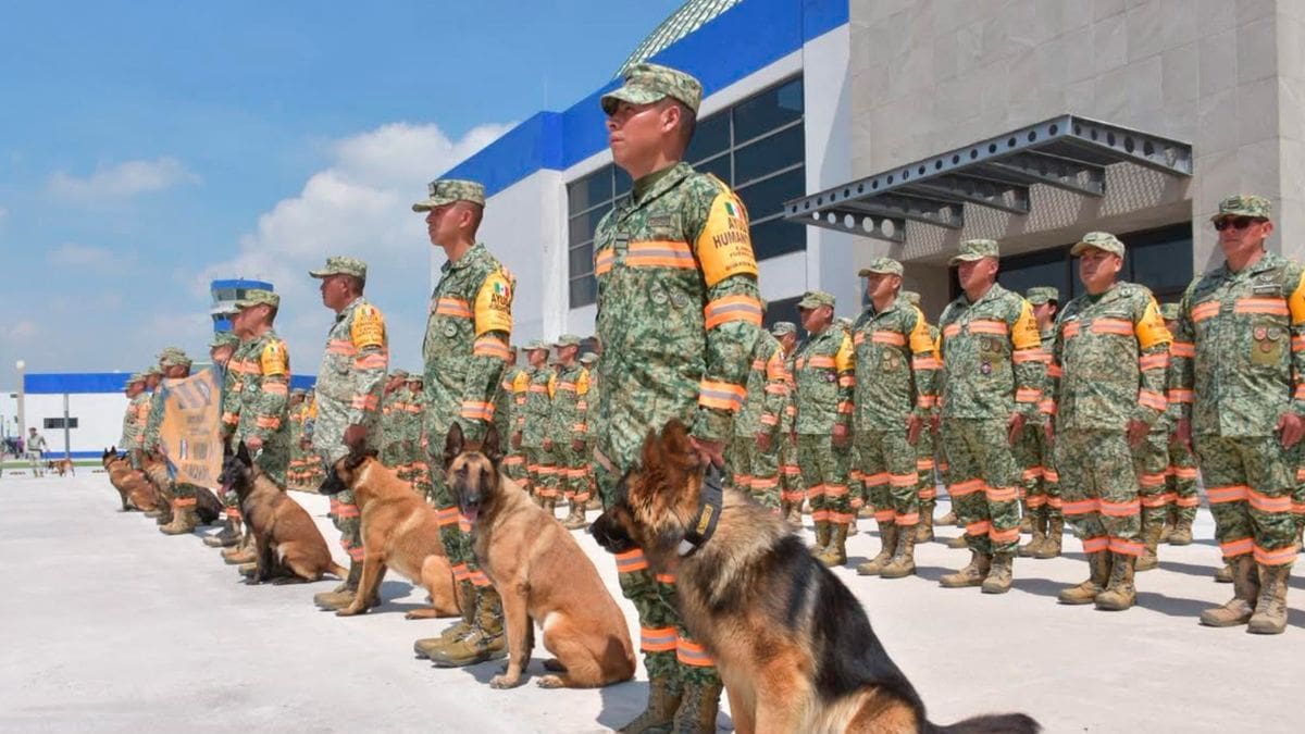 Max, el perro rescatista mexicano, resultó herido tras ayudar a salvar a siete personas y tres perros entre los escombros en Venezuela