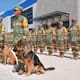 Max, el perro rescatista mexicano, resultó herido tras ayudar a salvar a siete personas y tres perros entre los escombros en Venezuela