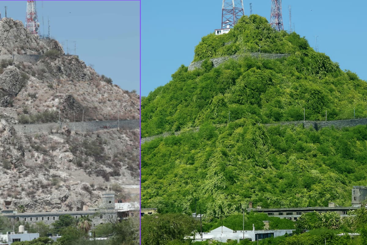 Así sería Hermosillo si tuviera más árboles y agua en la presa