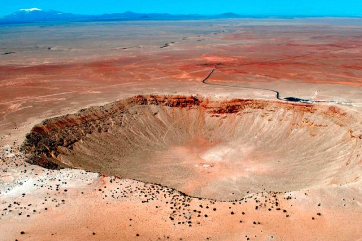 Revelan la estación de año en la que murieron los dinosaurios