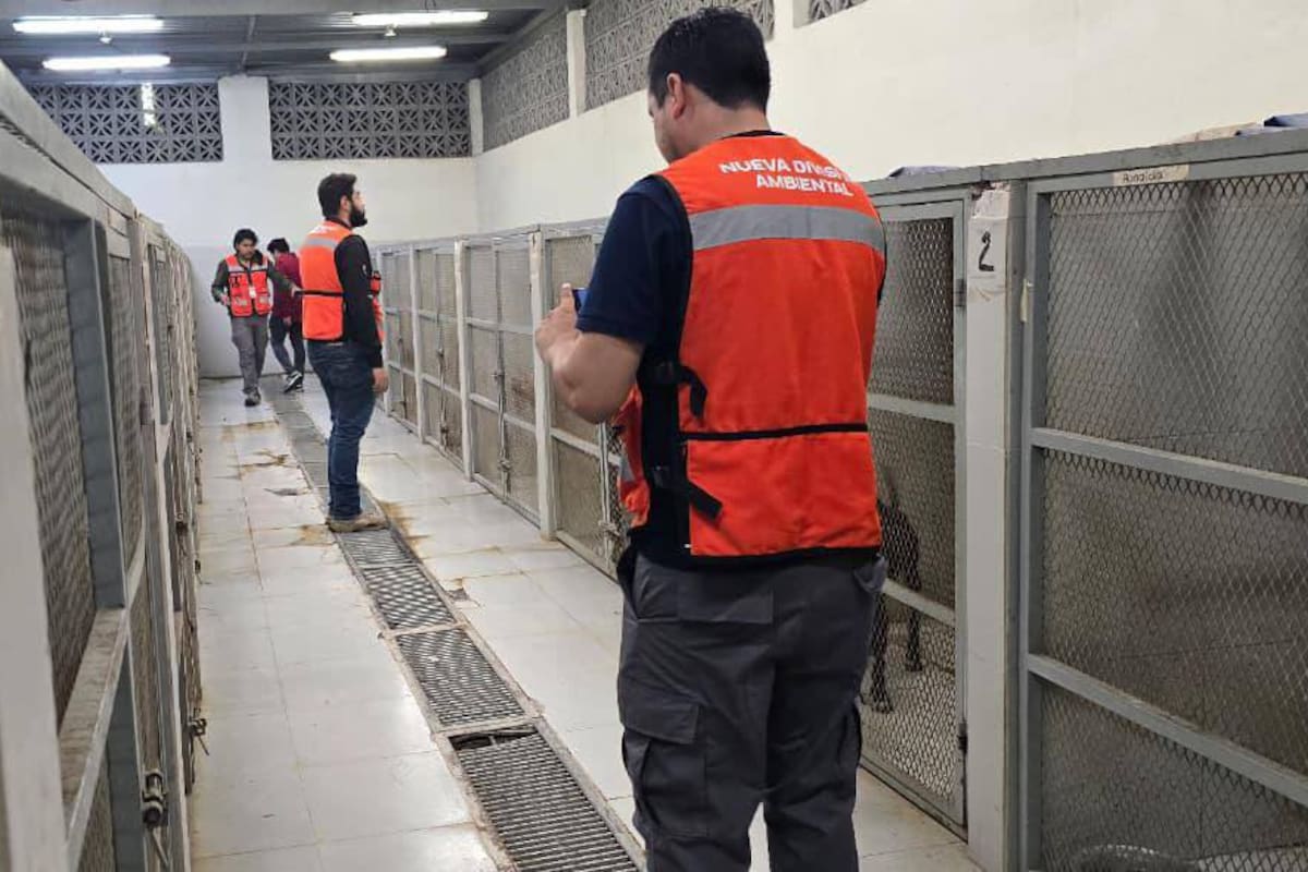 Clausuran temporalmente Centro de Bienestar Animal en Nuevo León por maltrato y negligencia
