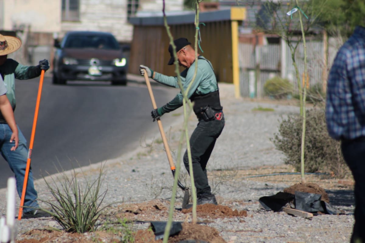 Rehabilitan 17 kilómetros de eco-corredores