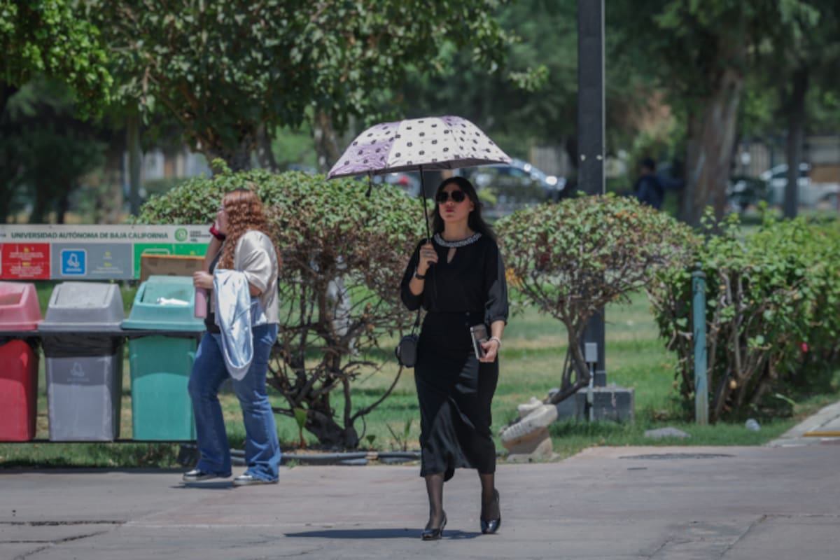 Calor extremo en Mexicali: pronostican hasta 44 grados y sensación térmica de 47 °C