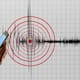 Sismo de magnitud 4.6 se registra frente a costas de Chiapas; no reportan daños
