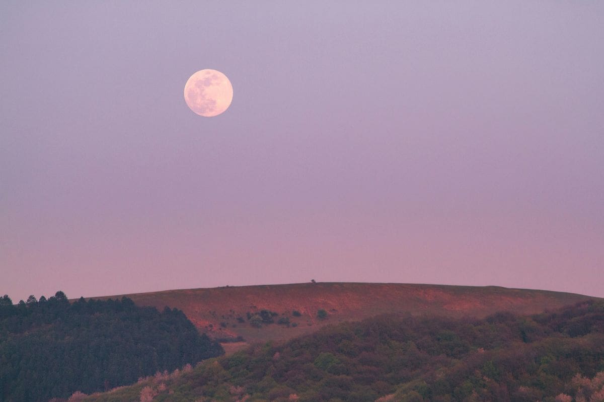 La Luna Rosa brillará el 13 de abril: así influye en tu signo zodiacal