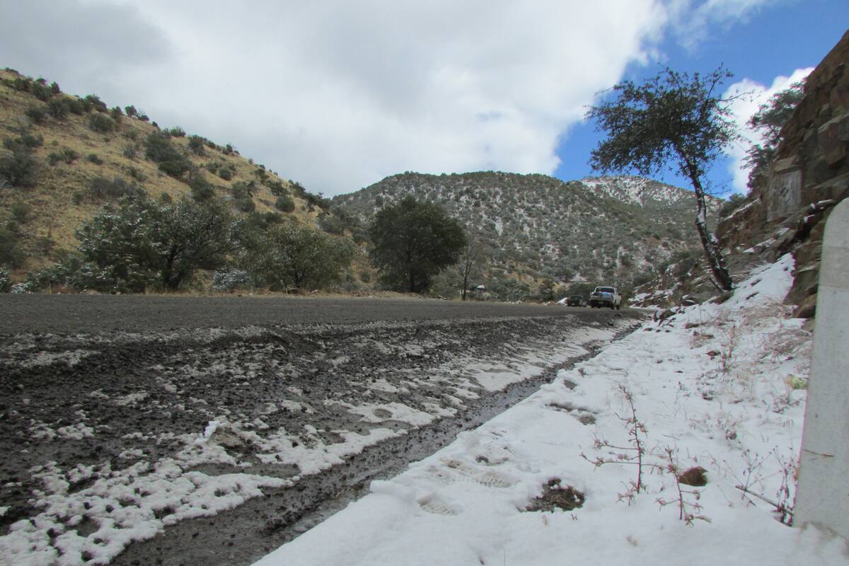 Ingresará frente frío a Sonora