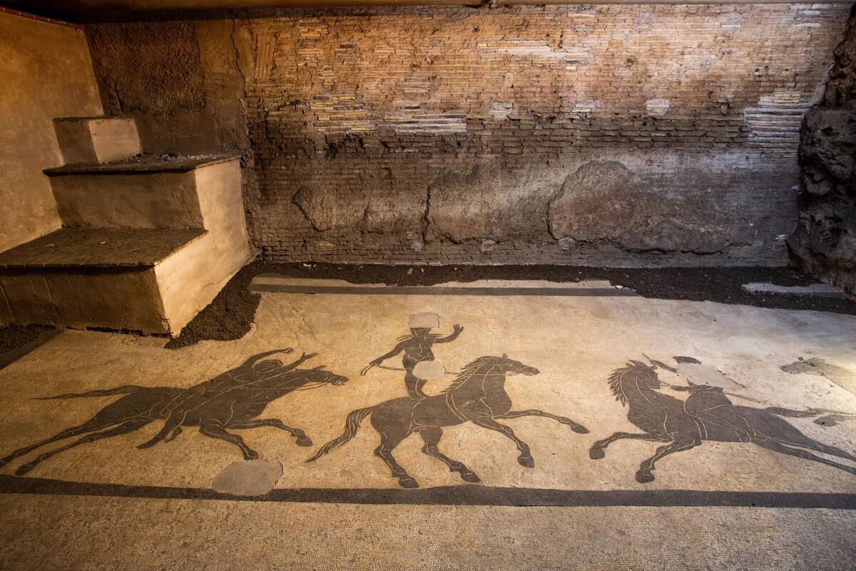 Embajada francesa muestran por primera vez mosaicos de la Antigua Roma