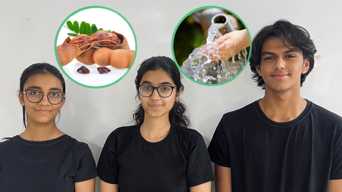 Por crear un polvo de tamarindo que retira microplásticos del agua, tres estudiantes de 16 años ganan The Earth Prize 2026