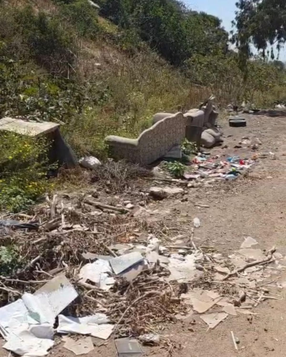 Foto: Carmen Gutiérrez