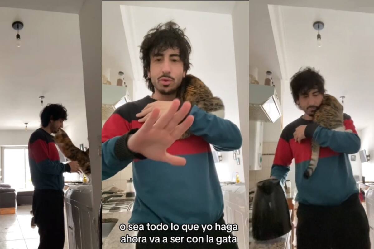 Gatita se vuelve viral por exigirle a su dueño que la cargue mientras él se prepara el desayuno