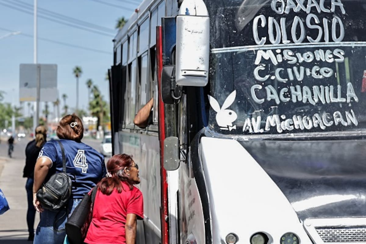 Van 6 multas por camiones de transporte público sin refrigeración