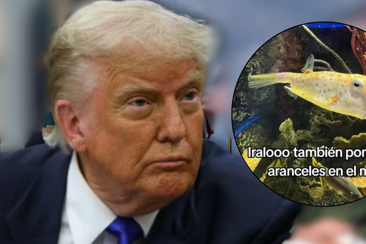 ‘Pez Trump’: este es el pez que se volvió viral en redes por su parecido con el presidente de los Estados Unidos