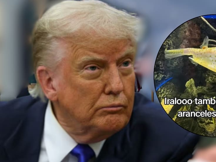 ‘Pez Trump’: este es el pez que se volvió viral en redes por su parecido con el presidente de los Estados Unidos