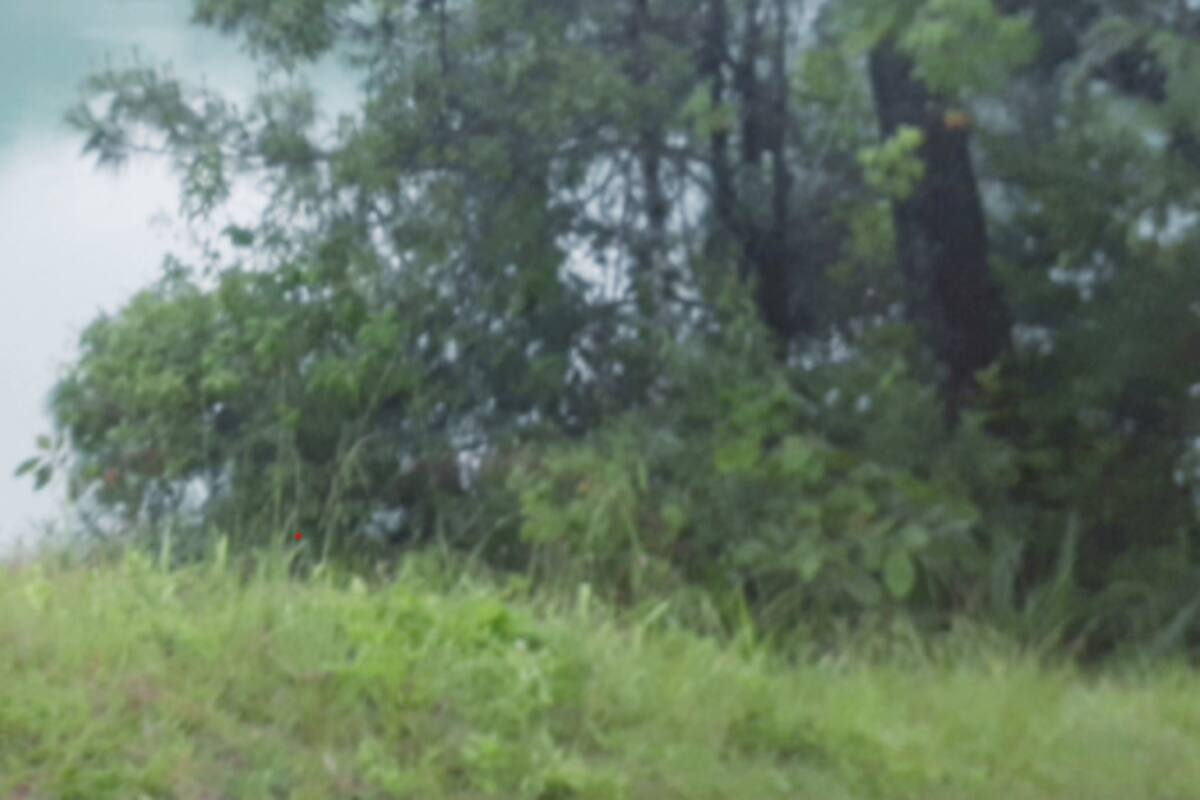 Chiapas: Comunidades indígenas son atacadas por grupos armados