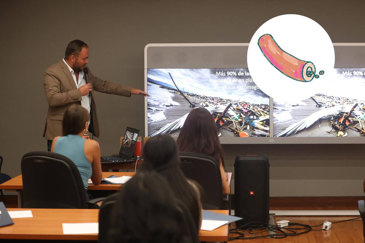 Detectan micronanoplásticos en placas arteriales del cuello: nuevo hallazgo sobre riesgos cardiovasculares