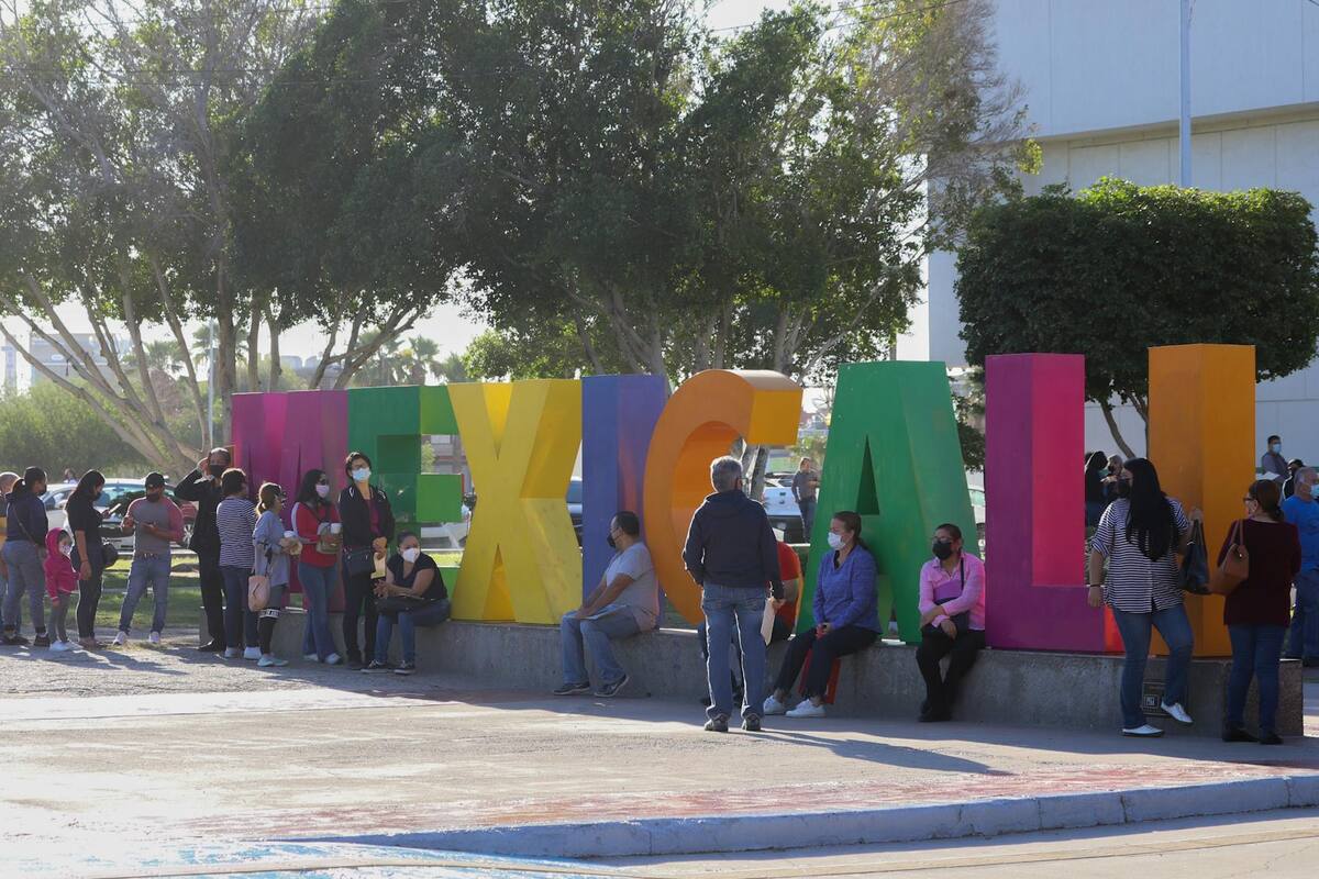 Más del 60% de los errores en certificados requieren meses: delegado