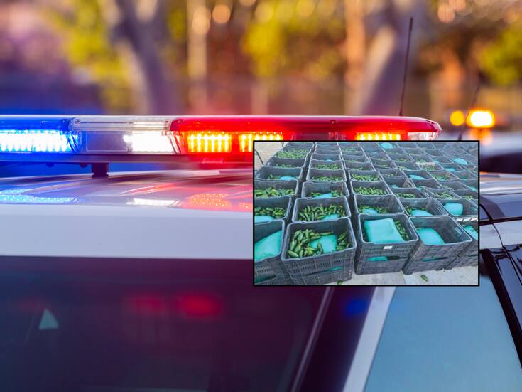 Decomisan en SLRC más de una tonelada de estupefacientes