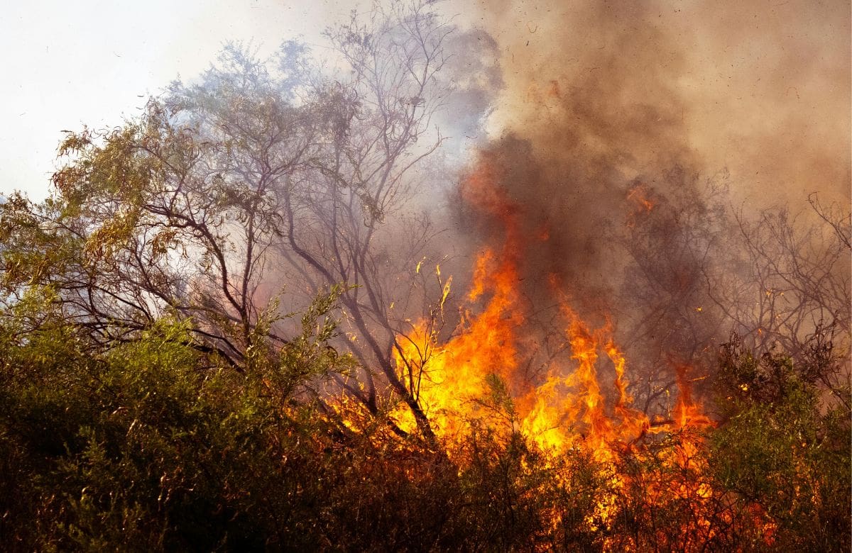 El miedo al cambio climático puede dejar secuelas emocionales duraderas, advierten estudios | Foto: Especial (canva)