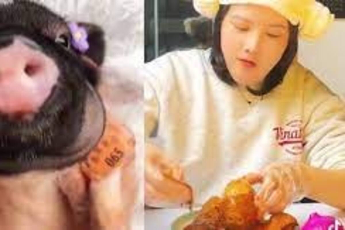 Mujer asiatica genera controversia por masajear a cerditos antes de cocinarlos y consumirlos