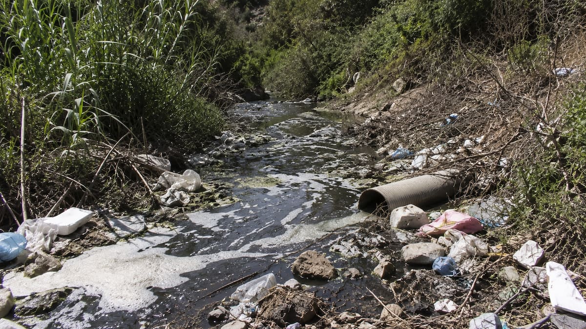 Alertan riesgos ambientales en la Cañada de los Sauces por abandono