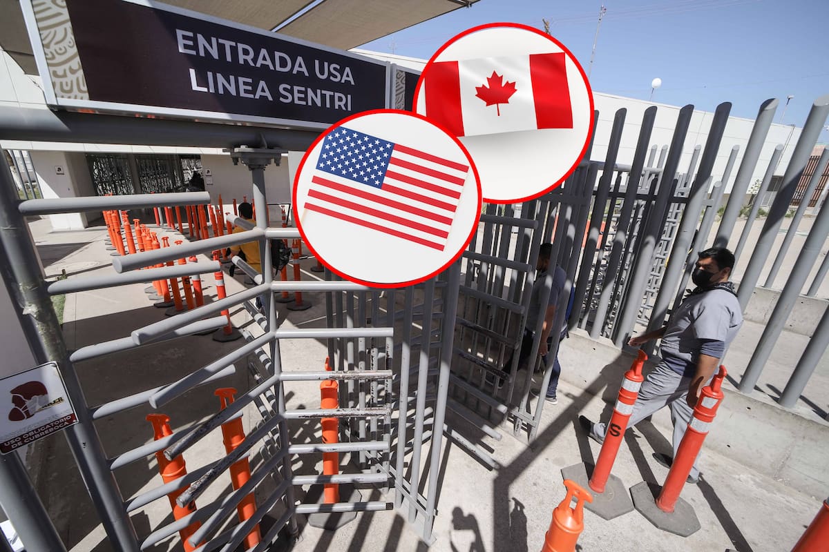 México pierde liderazgo en el panorama internacional: ONG