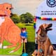 Misión 4 Patas ofrece adopciones responsables en Galerías Mall: ¡conoce a tus futuros compañeros!