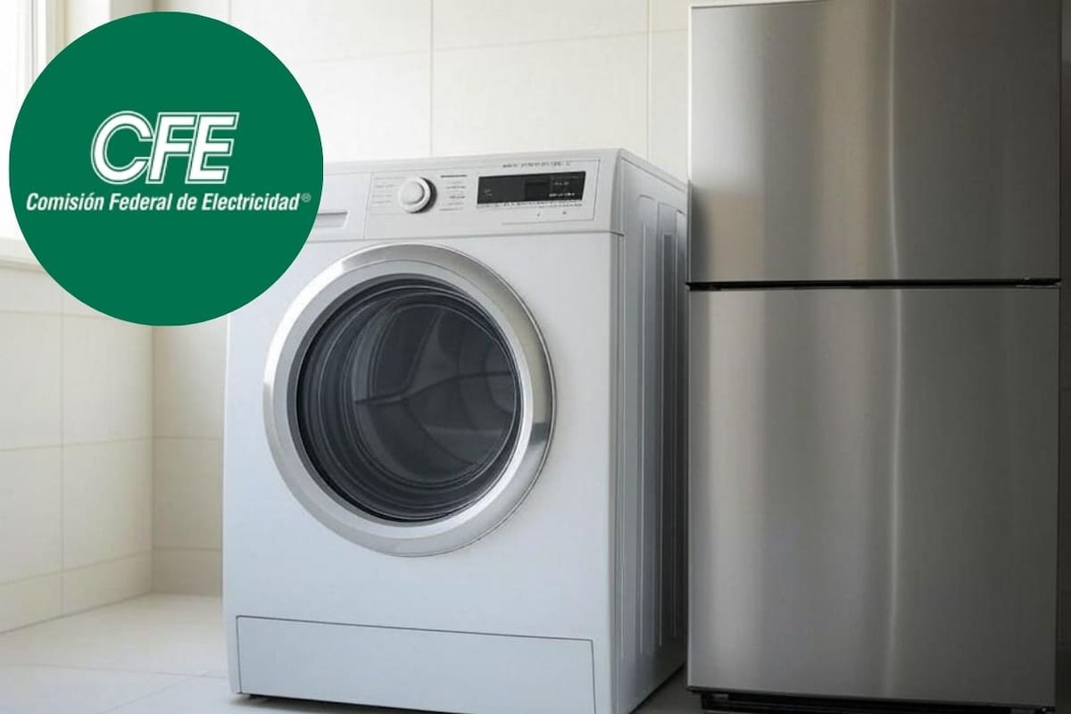 Si quieres cambiar un electrodoméstico, la CFE puede ayudarte