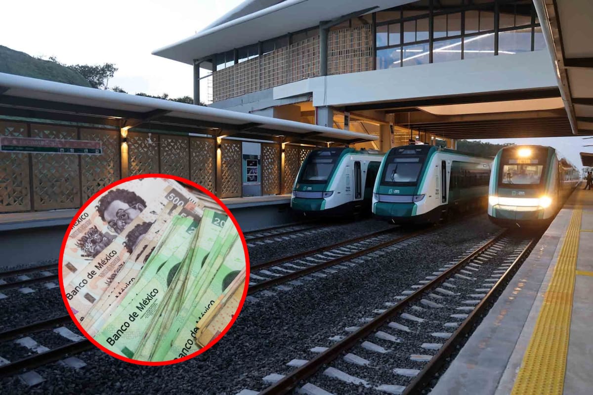 Tren Maya: Estos son los precios y detalles de los paquetes turísticos para el Sureste de México